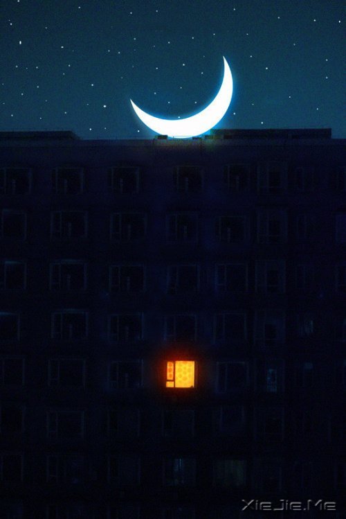 �������������С· (5)