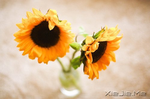 30~35�꣬Ϊ������������һЩ���