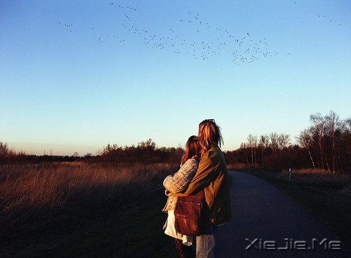 ��ֻ�����ǣ���һ������ (10)