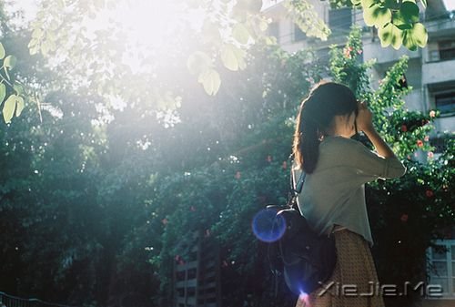 ���ֺαؼ�װ��ǿ (1)