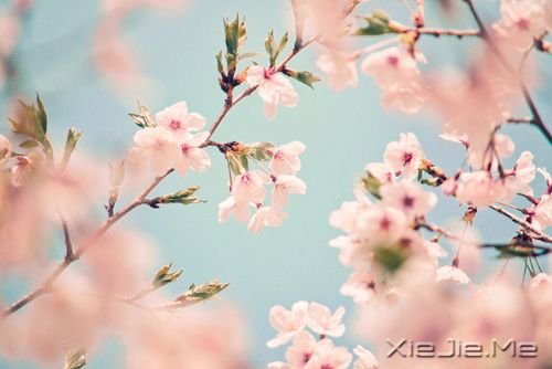 30������֮������֮�� (2)