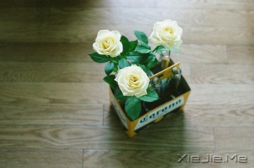 �Ҹ���ֻ������