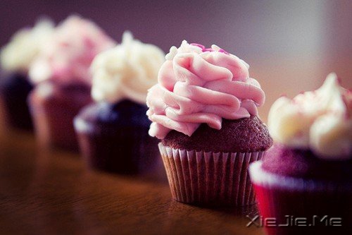 ������������Ӫ��